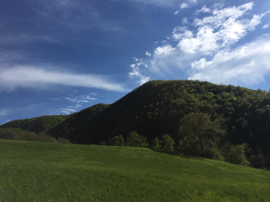 Agriturismo La Ferraia Pianello  Exteriér fotografie