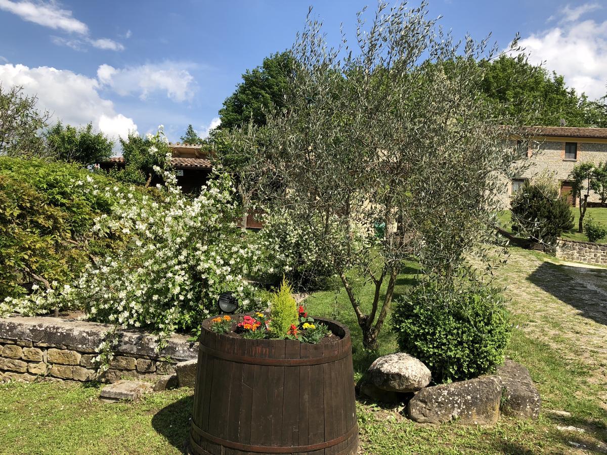 Agriturismo La Ferraia Pianello  Exteriér fotografie
