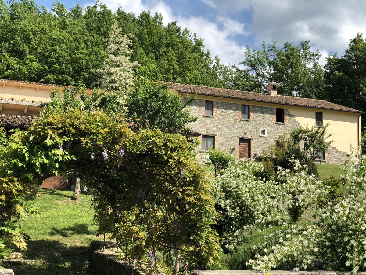 Agriturismo La Ferraia Pianello  Exteriér fotografie
