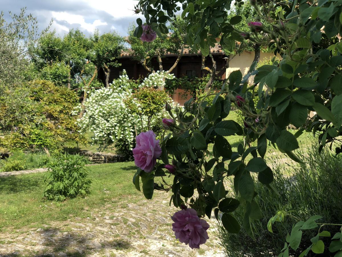 Agriturismo La Ferraia Pianello  Exteriér fotografie